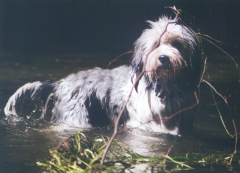 I love water